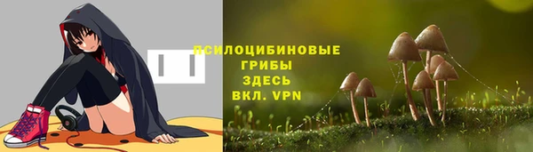 spice Аркадак